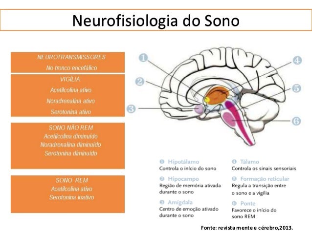 Fisiologia do sono, drogas e medilicazação.