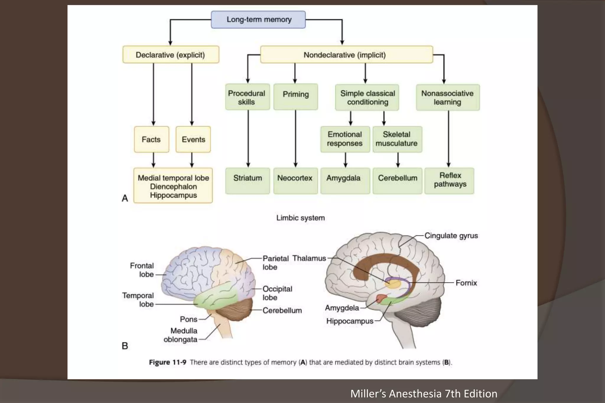 Miller’s Anesthesia 7th Edition
 