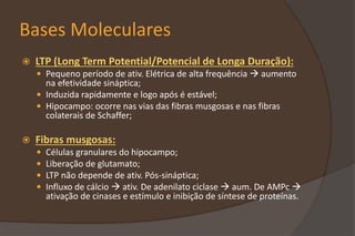 Bases Moleculares
 LTP (Long Term Potential/Potencial de Longa Duração):
 Pequeno período de ativ. Elétrica de alta frequência  aumento
na efetividade sináptica;
 Induzida rapidamente e logo após é estável;
 Hipocampo: ocorre nas vias das fibras musgosas e nas fibras
colaterais de Schaffer;
 Fibras musgosas:
 Células granulares do hipocampo;
 Liberação de glutamato;
 LTP não depende de ativ. Pós-sináptica;
 Influxo de cálcio  ativ. De adenilato ciclase  aum. De AMPc 
ativação de cinases e estímulo e inibição de síntese de proteínas.
 
