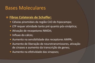 Bases Moleculares
 Fibras Colaterais de Schaffer:
 Células piramidais da região CA3 do hipocampo;
 LTP requer atividade tanto pré quanto pós-sináptica;
 Ativação de recepetores NMDA;
 Influxo do cálcio;
 Aumento na sensibilidade dos receptores AMPA;
 Aumento de liberação de neurotransmissores, ativação
de cinases e aumento da transcrição de genes;
 Aumento na efetividade das sinapses;
 