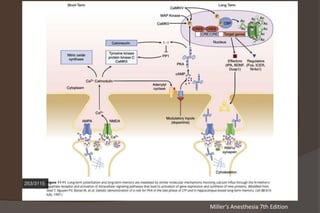 Miller’s Anesthesia 7th Edition
 