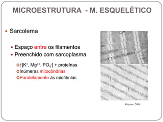 MICROESTRUTURA - M. ESQUELÉTICO

 Sarcolema


  Espaço entre os filamentos
  Preenchido com sarcoplasma

   ↑[K+, Mg++, PO4-] + proteínas
   Inúmeras mitocôndrias
   Paralelamente às miofibrilas




                                    Guyton, 2006
 