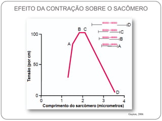 EFEITO DA CONTRAÇÃO SOBRE O SACÔMERO




                              Guyton, 2006
 