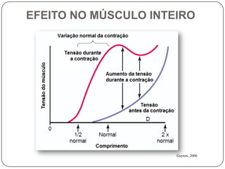 EFEITO NO MÚSCULO INTEIRO




                      Guyton, 2006
 