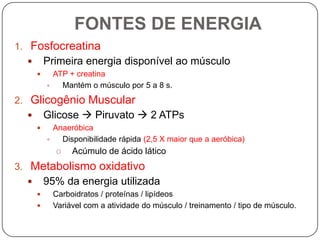 FONTES DE ENERGIA
1. Fosfocreatina
         Primeira energia disponível ao músculo
           ATP + creatina
             Mantém o músculo por 5 a 8 s.
2. Glicogênio Muscular
         Glicose  Piruvato  2 ATPs
           Anaeróbica
             Disponibilidade rápida (2,5 X maior que a aeróbica)
            o    Acúmulo de ácido lático
3. Metabolismo oxidativo
         95% da energia utilizada
          Carboidratos / proteínas / lipídeos
          Variável com a atividade do músculo / treinamento / tipo de músculo.
 