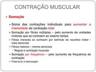 CONTRAÇÃO MUSCULAR
 Somação

  Soma das contrações individuais para aumentar a
   intensidade de contração total
  Somação por fibras múltiplas – pelo aumento de unidades
   motoras que se contraem ao mesmo tempo
  Fibras menores se contraem por estímulo de neurônio motor -
   mais sensíveis
  Fibras maiores – menos sensíveis
    Regula a contração muscular
  Somação por frequência – pelo aumento da frequência de
   contração
  Pode levar à tetanização
 