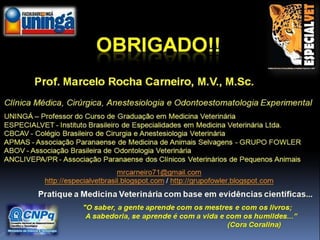 Fisiologia do tecido muscular