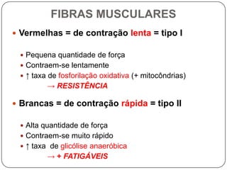 FIBRAS MUSCULARES
 Vermelhas = de contração lenta = tipo I

  Pequena quantidade de força
  Contraem-se lentamente
  ↑ taxa de fosforilação oxidativa (+ mitocôndrias)
         → RESISTÊNCIA

 Brancas = de contração rápida = tipo II

  Alta quantidade de força
  Contraem-se muito rápido
  ↑ taxa de glicólise anaeróbica
         → + FATIGÁVEIS
 