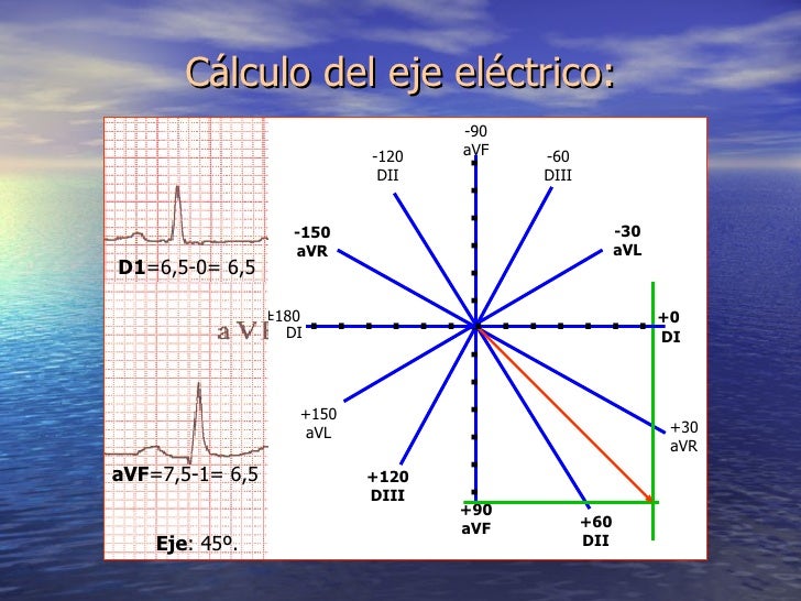 Fisiologia electrocardiografia normal (ecg)