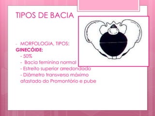 TIPOS DE BACIA
- MORFOLOGIA, TIPOS:
GINECÓIDE:
- 50%
- Bacia feminina normal
- Estreito superior arredondado
- Diâmetro transverso máximo
afastado do Promontório e pube
 