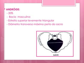 * ANDRÓIDE:
- 20%
- Bacia masculina
- Estreito superior levemente triangular
- Diâmetro transverso máximo perto do sacro
 