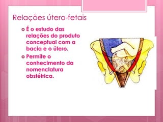 Relações útero-fetais
 É o estudo das
relações do produto
conceptual com a
bacia e o útero.
 Permite o
conhecimento da
nomenclatura
obstétrica.
 