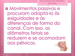  Movimentos passivos e
procuram adaptá-lo às
exiguidades e às
diferenças de forma do
canal. Com isso, os
diâmetros fetais se
reduzem e se acomodam
aos pélvicos.
Mecanismo do Trabalho
de Parto
 