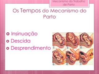 Os Tempos do Mecanismo do
Parto
 Insinuação
 Descida
 Desprendimento
Mecanismo do Trabalho
de Parto
 