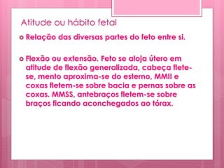 Atitude ou hábito fetal
 Relação das diversas partes do feto entre si.
 Flexão ou extensão. Feto se aloja útero em
atitude de flexão generalizada, cabeça flete-
se, mento aproxima-se do esterno, MMII e
coxas fletem-se sobre bacia e pernas sobre as
coxas. MMSS, antebraços fletem-se sobre
braços ficando aconchegados ao tórax.
 
