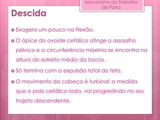 Descida
 Exagera um pouco na Flexão.
 O ápice do ovoide cefálico atinge o assoalho
pélvico e a circunferência máxima se encontra na
altura do estreito médio da bacia.
 Só termina com a expulsão total do feto.
 O movimento da cabeça é turbinal: a medida
que o polo cefálico roda, vai progredindo no seu
trajeto descendente.
Mecanismo do Trabalho
de Parto
 