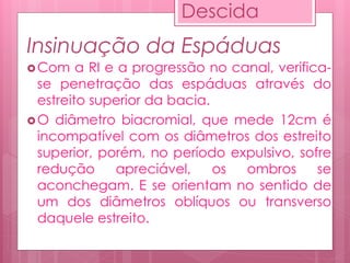 Insinuação da Espáduas
Com a RI e a progressão no canal, verifica-
se penetração das espáduas através do
estreito superior da bacia.
O diâmetro biacromial, que mede 12cm é
incompatível com os diâmetros dos estreito
superior, porém, no período expulsivo, sofre
redução apreciável, os ombros se
aconchegam. E se orientam no sentido de
um dos diâmetros oblíquos ou transverso
daquele estreito.
Descida
 