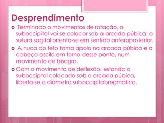 Desprendimento
 Terminado o movimentos de rotação, o
suboccipital vai se colocar sob a arcada púbica; a
sutura sagital orienta-se em sentido anteroposterior.
 A nuca do feto toma apoio na arcada púbica e a
cabeça oscila em torno desse ponto, num
movimento de bisagra.
 Com o movimento de deflexão, estando o
subocciptal colocado sob a arcada púbica,
liberta-se o diâmetro suboccipitobregmático.
 