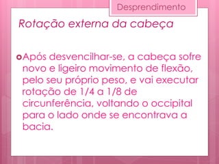 Após desvencilhar-se, a cabeça sofre
novo e ligeiro movimento de flexão,
pelo seu próprio peso, e vai executar
rotação de 1/4 a 1/8 de
circunferência, voltando o occipital
para o lado onde se encontrava a
bacia.
Desprendimento
Rotação externa da cabeça
 