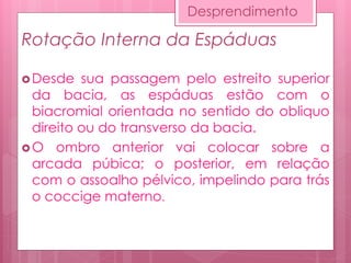 Rotação Interna da Espáduas
Desde sua passagem pelo estreito superior
da bacia, as espáduas estão com o
biacromial orientada no sentido do obliquo
direito ou do transverso da bacia.
O ombro anterior vai colocar sobre a
arcada púbica; o posterior, em relação
com o assoalho pélvico, impelindo para trás
o coccige materno.
Desprendimento
 
