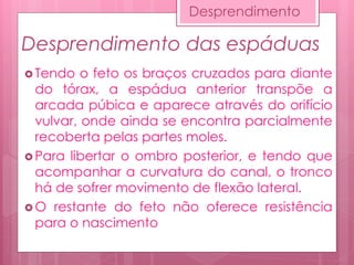 Desprendimento das espáduas
 Tendo o feto os braços cruzados para diante
do tórax, a espádua anterior transpõe a
arcada púbica e aparece através do orifício
vulvar, onde ainda se encontra parcialmente
recoberta pelas partes moles.
 Para libertar o ombro posterior, e tendo que
acompanhar a curvatura do canal, o tronco
há de sofrer movimento de flexão lateral.
 O restante do feto não oferece resistência
para o nascimento
Desprendimento
 
