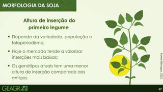 17
Altura de inserção do
primeiro legume
Depende da variedade, população e
fotoperiodismo;
Hoje o mercado tende a valorizar
inserções mais baixas;
Os genótipos atuais tem uma menor
altura de inserção comparado aos
antigos.
MORFOLOGIA DA SOJA
Fonte:
Elevagro,
2022.
 