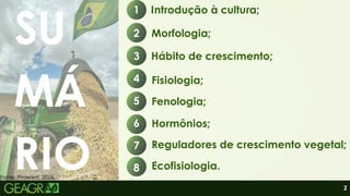 2
SU
MÁ
RIO
Fonte: Pinterest, 2026.
Introdução à cultura;
1
Morfologia;
2
Hábito de crescimento;
3
Fisiologia;
4
Fenologia;
5
Hormônios;
6
Reguladores de crescimento vegetal;
7
Ecofisiologia.
8
 