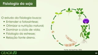 20
O estudo da fisiologia busca:
Entender a fotossíntese;
Otimizar a nutrição natural;
Dominar o ciclo de vida;
Fisiologia do estresse;
Relação fonte dreno.
Fisiologia da soja
Fonte: Moneytimes, 2026.
 