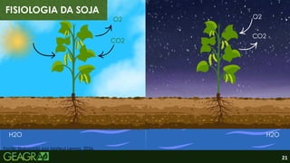 2
FISIOLOGIA DA SOJA
H2O H2O
O2
CO2
O2
CO2
Fonte: Elaborado por Mateus Lemos, 2026.
21
 