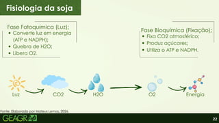 22
Luz CO2 H2O O2 Energia
Fisiologia da soja
Fase Fotoquímica (Luz);
Converte luz em energia
(ATP e NADPH);
Quebra de H2O;
Libera O2.
Fixa CO2 atmosférico;
Produz açúcares;
Utiliza o ATP e NADPH.
Fase Bioquímica (Fixação);
Fonte: Elaborado por Mateus Lemos, 2026.
 