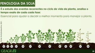 28
É o estudo dos eventos recorrentes no ciclo de vida da planta, analisa o
tempo exato de cada cada fase:
Essencial para ajudar a decidir o melhor momento para manejar a planta.
Fonte:
Nutriçãodesafras,
2021.
FENOLOGIA DA SOJA
 