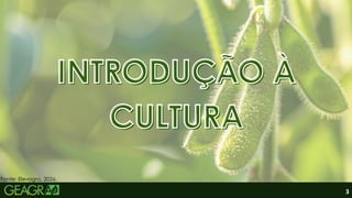 3
INTRODUÇÃO À
INTRODUÇÃO À
CULTURA
CULTURA
INTRODUÇÃO À
INTRODUÇÃO À
CULTURA
CULTURA
Fonte: Elevagro, 2026.
 