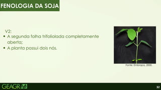32
V2:
A segunda folha trifoliolada completamente
aberta;
A planta possui dois nós.
Fonte: Embrapa, 2000.
FENOLOGIA DA SOJA
 