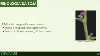 33
R1-Estádio vegetativo reprodutivo:
Início oficial da fase reprodutiva;
Inicio do florescimento, 1º flor aberta.
Fonte: Embrapa, 2000.
FENOLOGIA DA SOJA
 