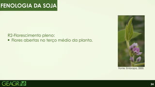 34
R2-Florescimento pleno:
Flores abertas no terço médio da planta.
Fonte: Embrapa, 2000.
FENOLOGIA DA SOJA
 