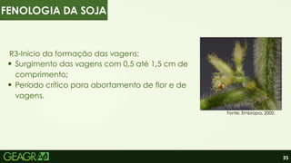 35
R3-Início da formação das vagens:
Surgimento das vagens com 0,5 até 1,5 cm de
comprimento;
Período crítico para abortamento de flor e de
vagens.
Fonte: Embrapa, 2000.
FENOLOGIA DA SOJA
 
