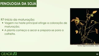 39
R7-Início da maturação:
Vagem na haste principal atinge a coloração de
maturação;
A planta começa a secar e prepara-se para a
colheita.
Fonte: Agroinovadores, 2023.
FENOLOGIA DA SOJA
 