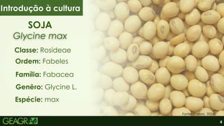 4
Glycine max
Glycine max
SOJA
Classe: Rosideae
Ordem: Fabeles
Família: Fabacea
Genêro: Glycine L.
Espécie: max
Introdução à cultura
Fonte: Canva, 2026.
 