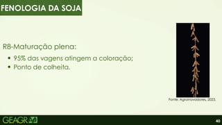 40
FENOLOGIA DA SOJA
R8-Maturação plena:
95% das vagens atingem a coloração;
Ponto de colheita.
Fonte: Agroinovadores, 2023.
 