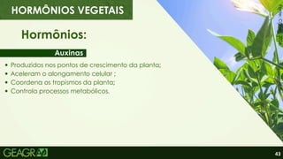 43
Hormônios:
Auxinas
Produzidos nos pontos de crescimento da planta;
Aceleram o alongamento celular ;
Coordena os tropismos da planta;
Controla processos metabólicos.
HORMÔNIOS VEGETAIS
Fonte:
Canva,
2026.
 