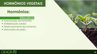 45
Giberelinas
Hormônios:
Germinação de sementes;
Multiplicação celular;
Desenvolvimento dos entrenós;
Maturação do pólen.
HORMÔNIOS VEGETAIS
Fonte:
TerraMagna,
2023.
 