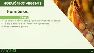 46
Etileno
Hormônios:
Sua síntese ocorre nas regiões meristemáticas e nos nós;
Lesões e estresse pode interferir na produção;
Único fitormônio gasoso.
HORMÔNIOS VEGETAIS
Fonte:
Syngenta,
2026.
 