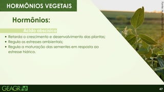 47
Ácido abscísico
Hormônios:
Retarda o crescimento e desenvolvimento das plantas;
Regula os estresses ambientais;
Regula a maturação das sementes em resposta ao
estresse hídrico.
HORMÔNIOS VEGETAIS
Fonte:
NutriçãodeSafra,
2022.
 