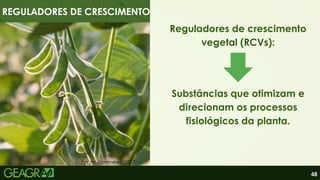 48
REGULADORES DE CRESCIMENTO
Reguladores de crescimento
vegetal (RCVs):
Substâncias que otimizam e
direcionam os processos
fisiológicos da planta.
Fonte: Farmnews, 2017.
 