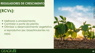49
(RCVs):
Melhorar o enraizamento;
REGULADORES DE CRESCIMENTO
Controlar o porte da planta;
Otimizar o desenvolvimento vegetativo
e reprodutivo (ex: bioestimulantes na
soja);
Fonte:
Grãodireito,
2024.
 