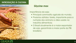 5
INTRODUÇÃO À CULTURA
Glycine max
Glycine max
Importância da soja;
Principal commodity agrícola do mundo;
Produtos obtidos: farelo, importante para a
nutrição dos animal e o óleo usado na
indústria alimentícia;
O Brasil atualmente é o maior exportador
de soja, garantindo a maior parte do PIB
brasileiro.
Fonte: Agroboasafra, 2024.
 