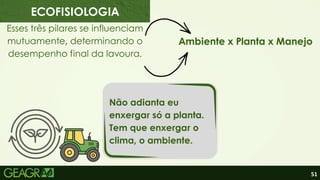 51
Esses três pilares se influenciam
mutuamente, determinando o
desempenho final da lavoura.
Não adianta eu
enxergar só a planta.
Tem que enxergar o
clima, o ambiente.
ECOFISIOLOGIA
Ambiente x Planta x Manejo
 