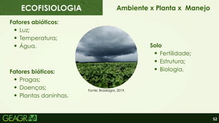 52
Ambiente x Planta x Manejo
Fatores bióticos:
Pragas;
Doenças;
Plantas daninhas.
Fatores abióticos:
Luz;
Temperatura;
Água. Solo
Fertilidade;
Estrutura;
Biologia.
Fonte: Brasilagro, 2019.
ECOFISIOLOGIA
 
