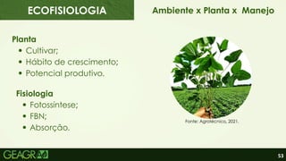 53
Planta
Cultivar;
Hábito de crescimento;
Potencial produtivo.
Fisiologia
Fotossíntese;
FBN;
Absorção.
Ambiente x Planta x Manejo
Fonte: Agrotécnico, 2021.
ECOFISIOLOGIA
 