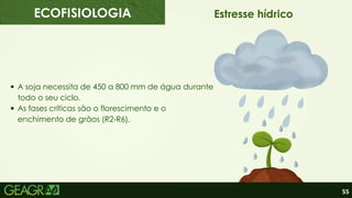 55
Estresse hídrico
A soja necessita de 450 a 800 mm de água durante
todo o seu ciclo.
As fases críticas são o florescimento e o
enchimento de grãos (R2-R6).
ECOFISIOLOGIA
 